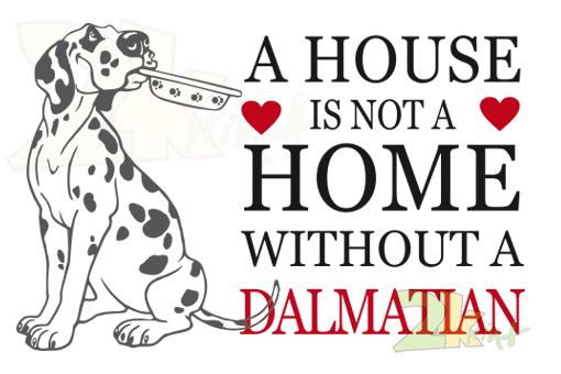 A HOUSE ...Dalmatine