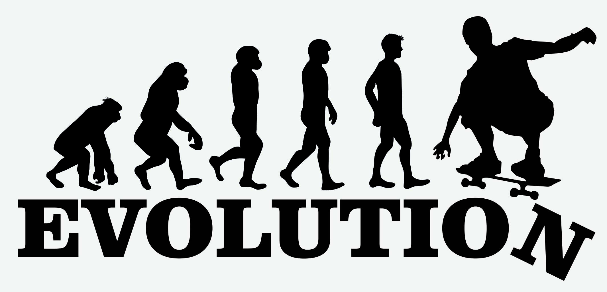 EVOLUTION SKATEBOARD