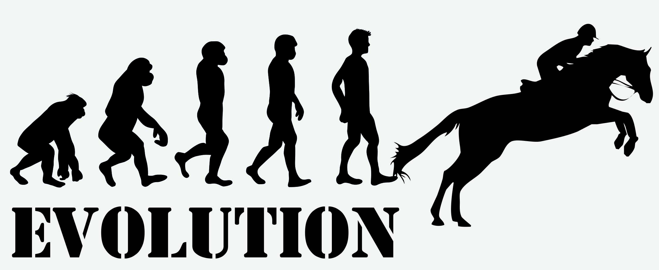 EVOLUTION JEZDECTVÍ