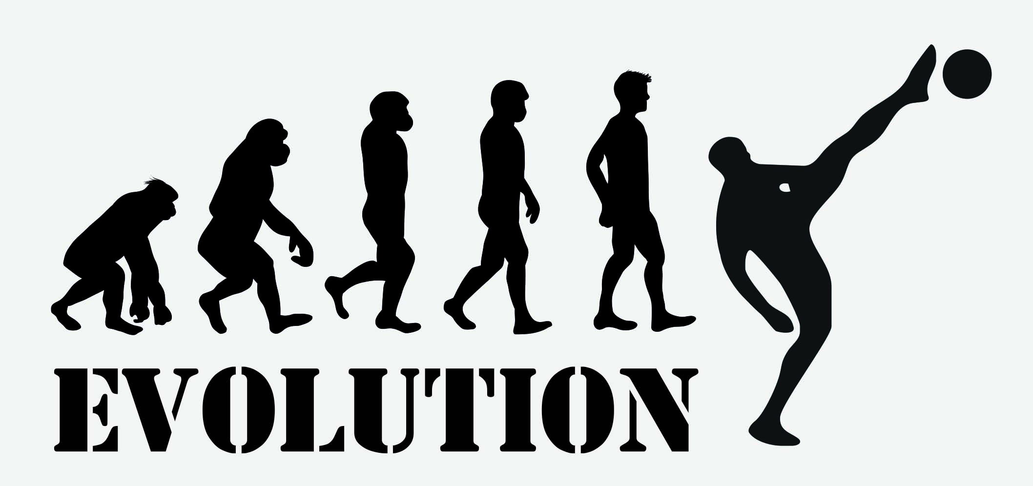 EVOLUTION NOHEJBAL