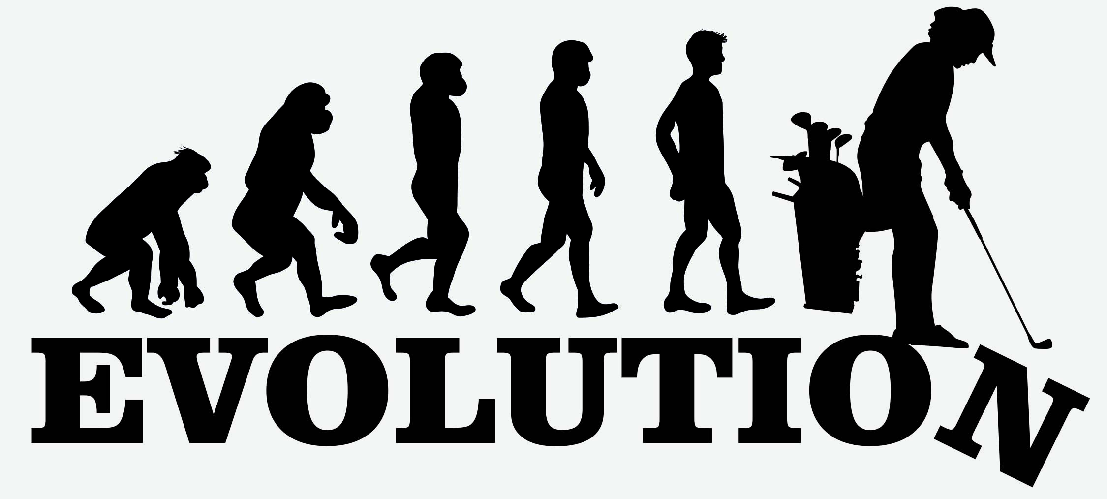 EVOLUTION GOLF