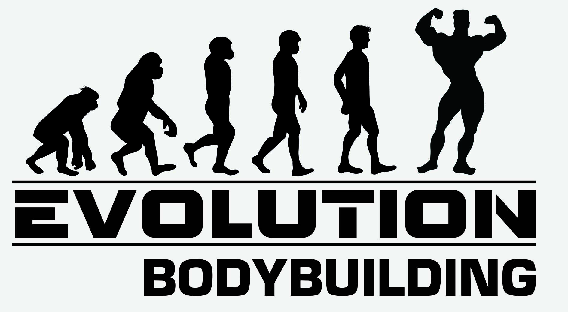 EVOLUTION KULTURISTIKA