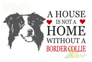 A HOUSE ...BORDER COLLIE