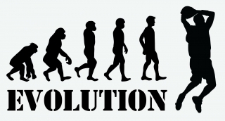 EVOLUTION BASKETBAL