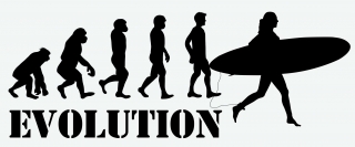 EVOLUTION SURFING