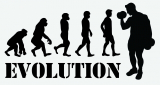 EVOLUTION FITNESS